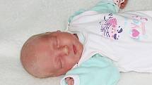 Sofie Králová se narodila 7. července 2022 v Příbrami. Vážila 2360 g. Doma v Sedlčanech ji přivítali maminka Vladěna, tatínek Antonín a čtyřletý Toník.
