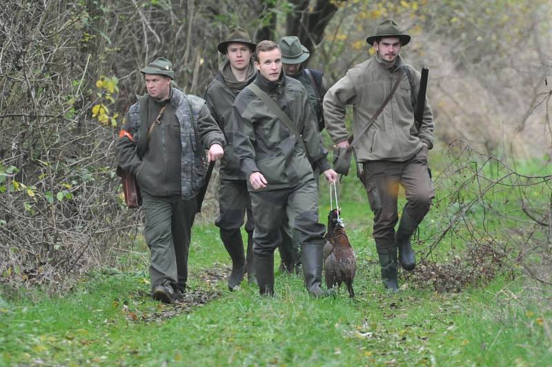 Tradiční hon na bažanty uspořádali na sklonku října myslivci z Mysliveckého sdružení (MS) Svatý Jan. 