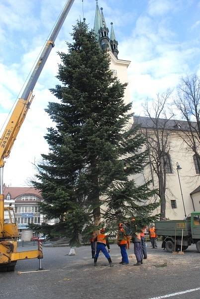 Usazování vánočního stromu na Náměstí TGM v Příbrami