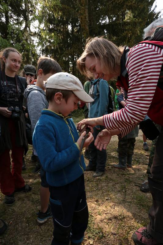 Při komentované vycházce děti zachránily tisíce žabích životů