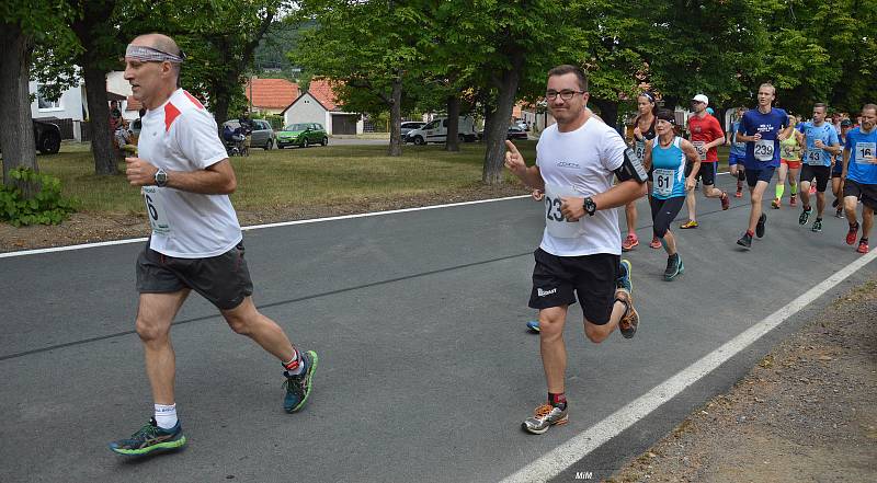 Již posedmnácté se konal v neděli 7. července běh do vrchu Lochovice - Plešivec.