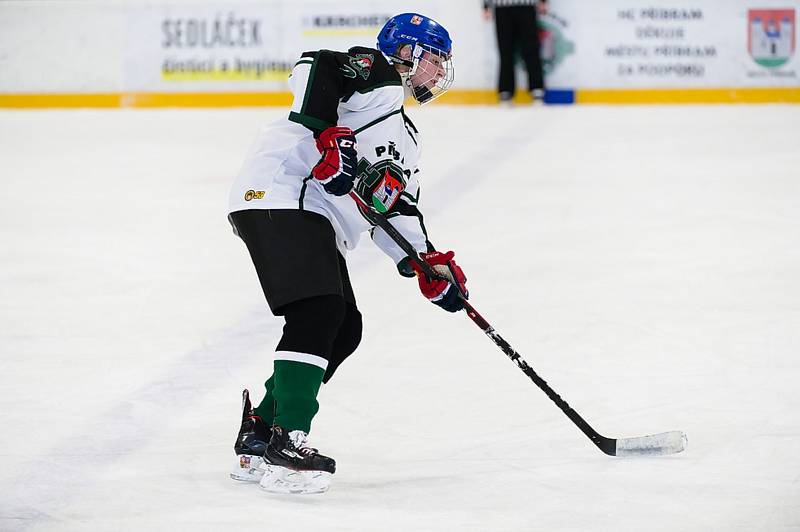 Hokejistky HC Příbram porazily v 7. kole extraligy Litvínov 10:3.