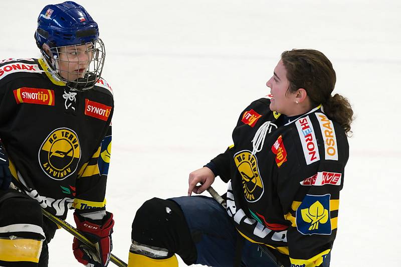 Hokejistky HC Příbram porazily v 7. kole extraligy Litvínov 10:3.