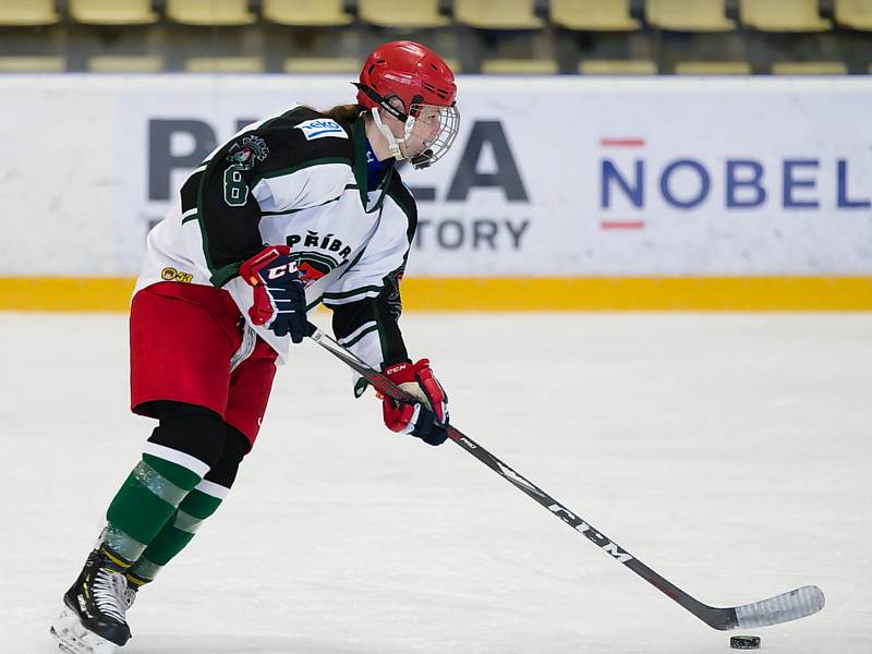 Hokejistky HC Příbram porazily v 7. kole extraligy Litvínov 10:3.