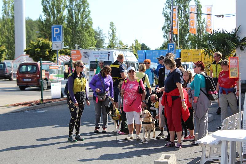 V obchodních centrech v Žežické ulici se konala část praktického výcviku asistenčních psů pod záštitou neziskové organizace Helppes.