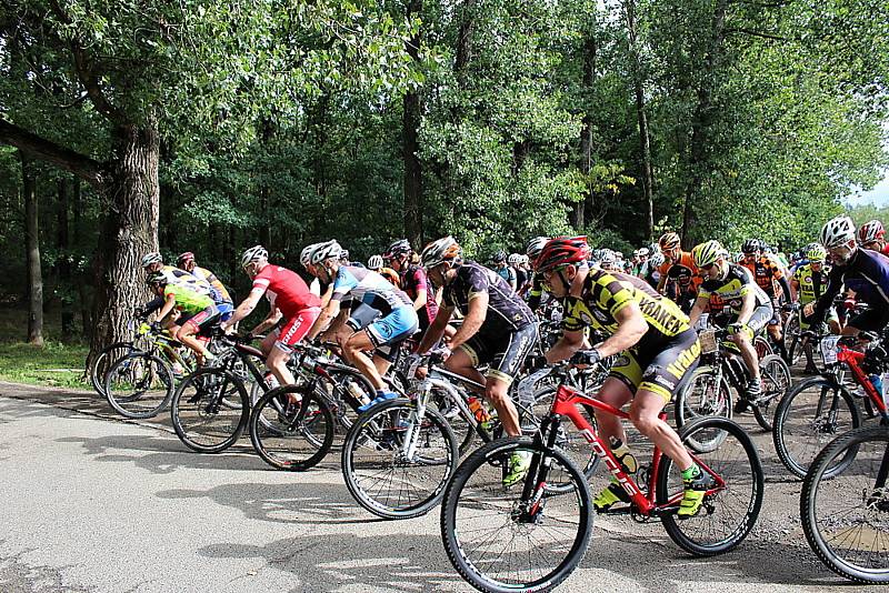 Pátý ročník MTB maratonu Brdmanův pařez pro amatérské cyklisty.