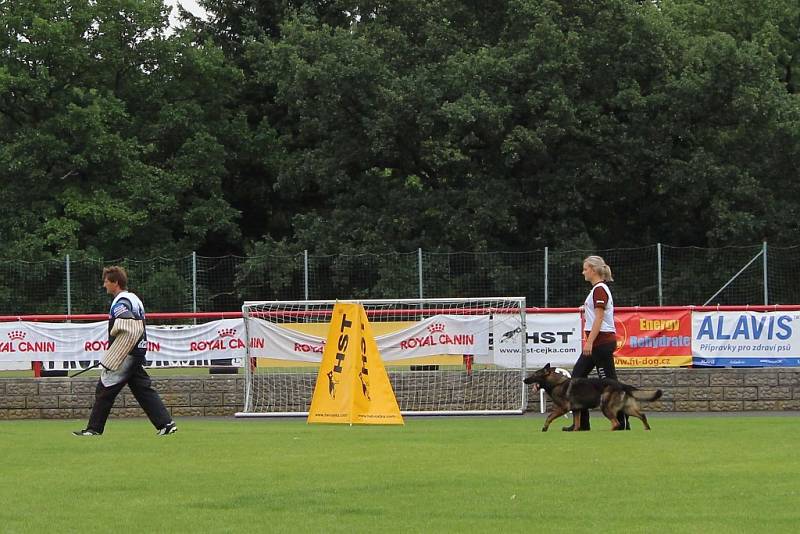 Letos se konal v Dobříši již 12. ročník Mezinárodního kynologického festivalu CACIT.