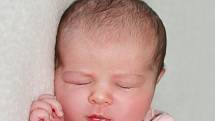 Sára Zaušková se narodila 29. května 2022 v Příbrami. Vážila 3650g a měřila 51cm. Doma ve Vysokém Chlumci ji přivítali maminka Ivana, tatínek Jan a dvouletý Alex.
