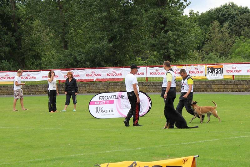 Letos se konal v Dobříši již 12. ročník Mezinárodního kynologického festivalu CACIT.