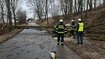 Petrovičtí hasiči odklízeli spadlé stromy po orkánu Sabine.