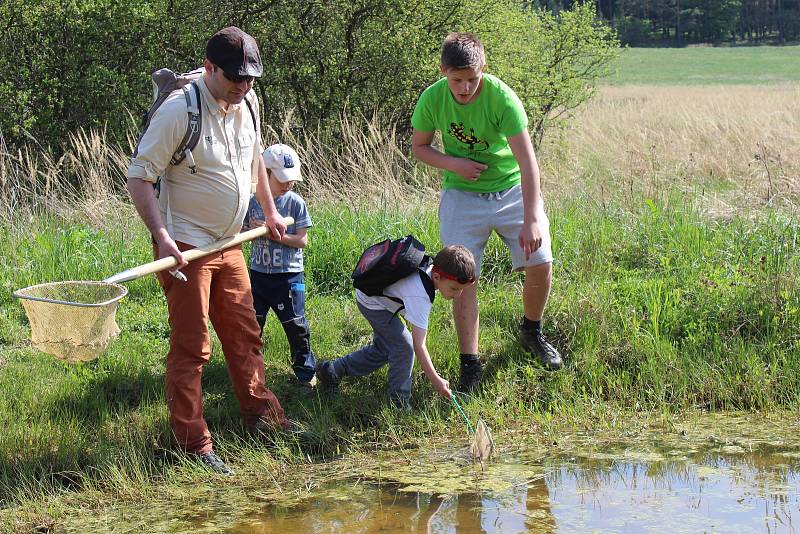 Při dopolední komentované vycházce děti mimo poslouchání výkladu navíc přenosily tisíce pulců z vysychající kaluže do větší a zachránily je tak.