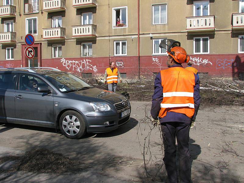 Kácení stromů na náměstí 17. listopadu.