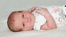 Hana Maslikiewiczová se narodila 4. května 2022 v Příbrami. Vážila 3280 g a měřila 50 cm. Doma v Nové Vsi pod Pleší ji přivítali maminka Tereza, tatínek Ondřej a dvouletá Zoe.