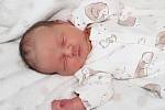 Tea Nohová se narodila 13. září 2022 v Příbrami. Vážila 3250g a měřila 49cm. Doma v Jeruzalémě ji přivítali maminka Aya, tatínek Jirka a dvouletá Aya.