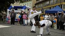 Příbramská Grupo Axé Capoeira