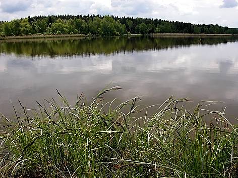 Padrťský rybník ve Vojenském újezdu Brdy.