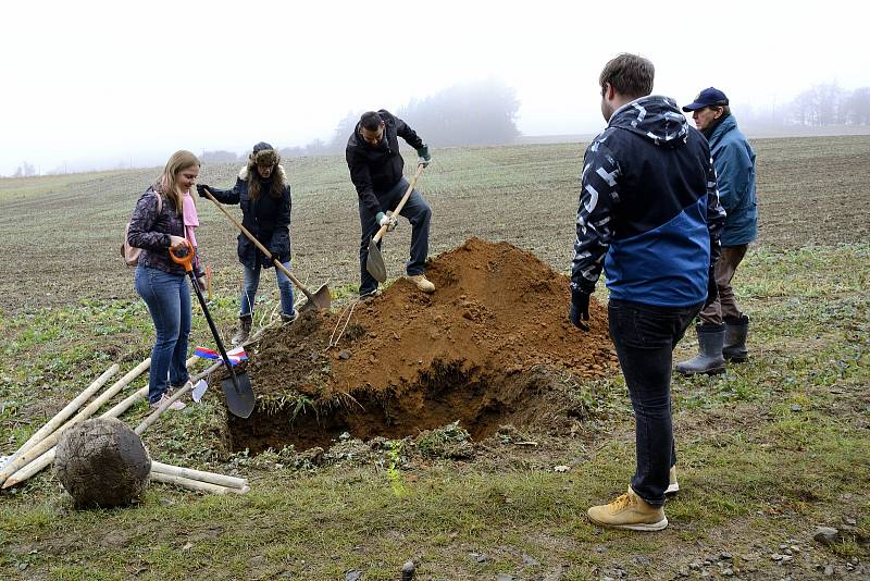 Nově vysazená Alej svobody u Památníku Vojna u Příbrami.