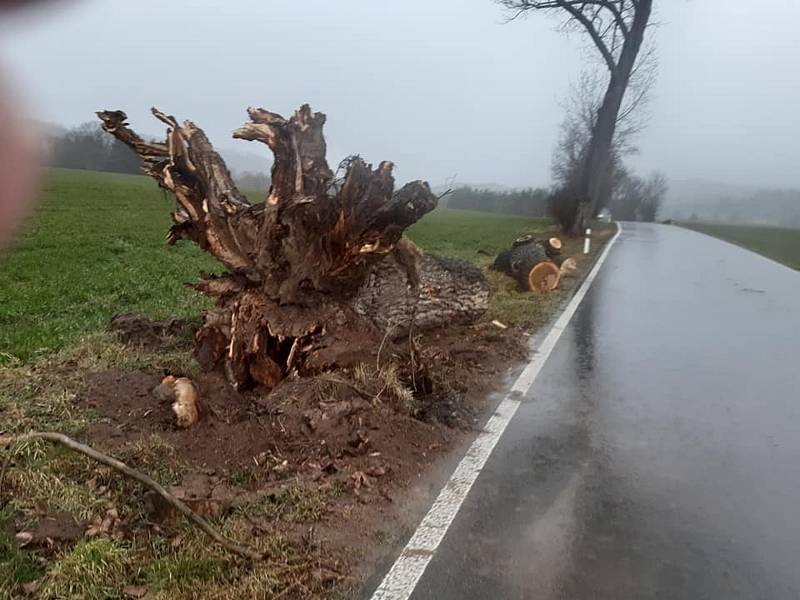 Petrovičtí hasiči časně ráno odstraňovali spadlý strom na silnici II/118.