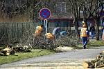 Ulici Bratří Čapků čeká rozsáhlá rekonstrukce. Kvůli tomu muselo zmizet stromořadí hlohů.