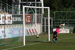 Utkání třetího kola MOL Cupu 1. FK Příbram - Vlašim 4:1 (3:0).