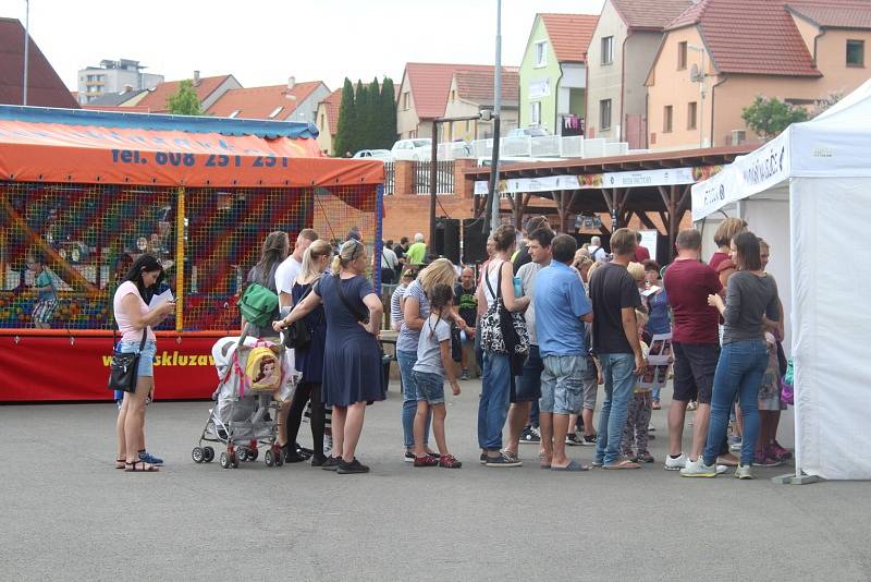 Čtvrtý ročník Rybího festivalu v Dobříši letos navštívilo přes dva tisíce lidí.Podle organizátorů akce jich letos přišlo výrazně méně, než v loňském roce.
