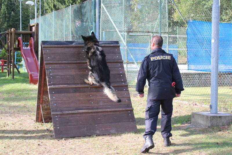 Od úterý do čtvrtka předváděli policejní psovodi svůj um, ve čtvrtek odpoledne následovalo slavnostní vyhlášení výsledků za přítomnosti ministra vnitra Jana Hamáčka.