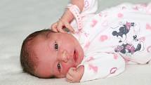 Karolína Sirotková se narodila 2. června 2022 v Příbrami. Vážila 3960 g a měřila 52 cm. Doma v Lazsku ji přivítali maminka Markéta, tatínek Josef a tříletý Jakub.