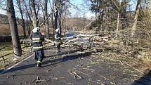 Petrovičtí hasiči odklízeli spadlé stromy po orkánu Sabine.