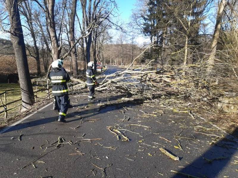 Petrovičtí hasiči odklízeli spadlé stromy po orkánu Sabine.