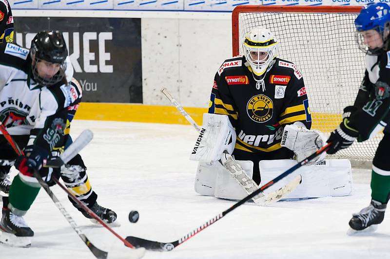 Hokejistky HC Příbram porazily v 7. kole extraligy Litvínov 10:3.