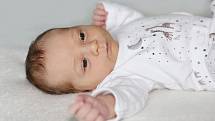 Olívie Bauerová se narodila 1. května 2022 v Příbrami. Vážila 3150 g a měřila 49 cm. Doma ve Višňové ji přivítali maminka Veronika, tatínek Robert a roční Rozárka.