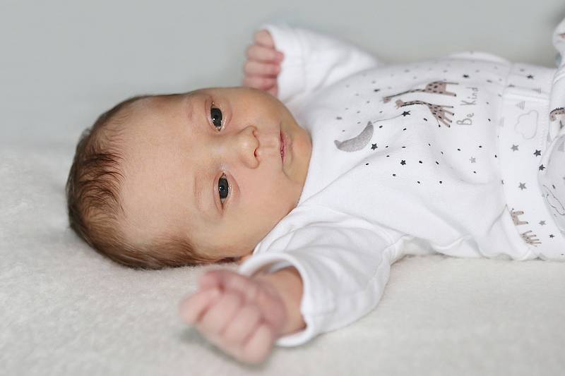 Olívie Bauerová se narodila 1. května 2022 v Příbrami. Vážila 3150 g a měřila 49 cm. Doma ve Višňové ji přivítali maminka Veronika, tatínek Robert a roční Rozárka.
