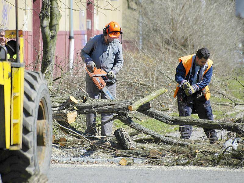 Kácení v ulici Bratří Čapků