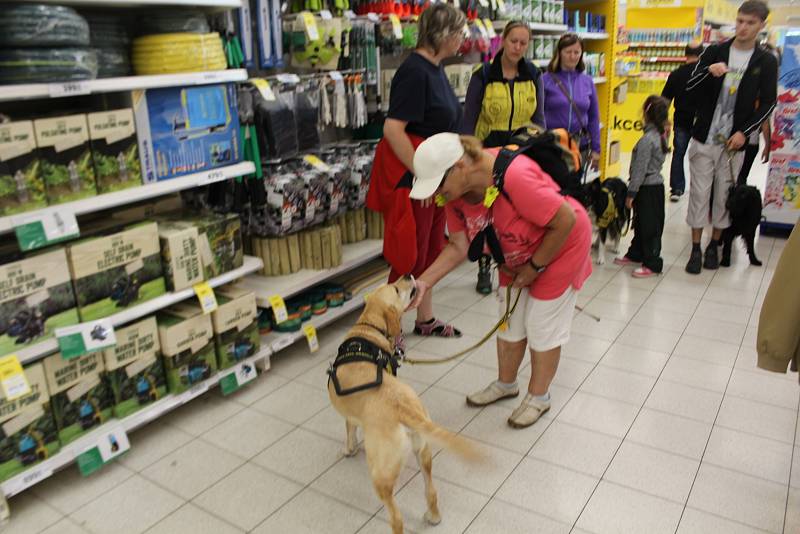 V obchodních centrech v Žežické ulici se konala část praktického výcviku asistenčních psů pod záštitou neziskové organizace Helppes.