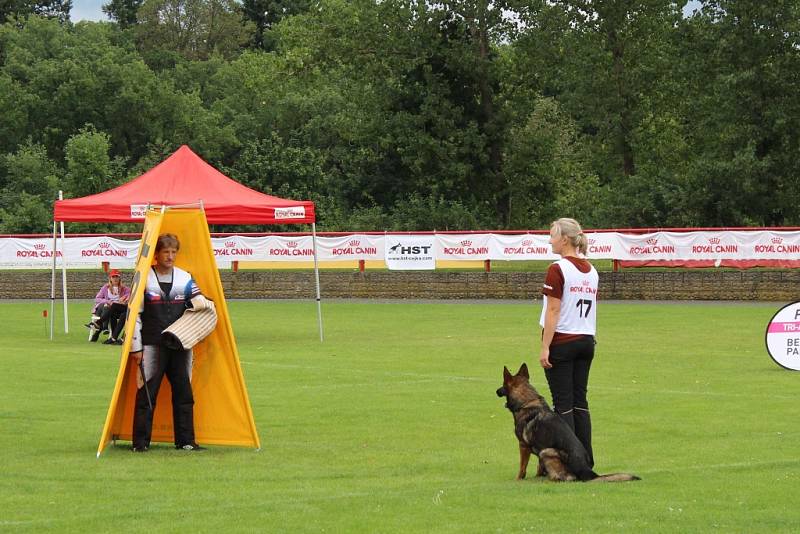 Letos se konal v Dobříši již 12. ročník Mezinárodního kynologického festivalu CACIT.