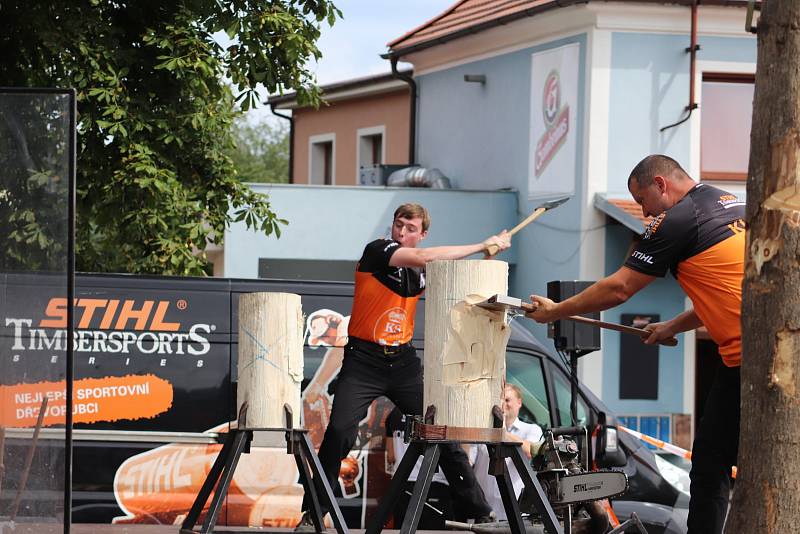 Petrovice si letos připomínají 800 let od první písemné zmínky o obci a přizpůsobily tomu i tradiční akce jako například letošní Petrovické řezbování.