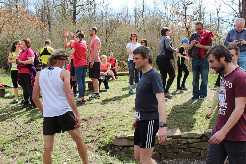 Dobříš - Hezké slunečné počasí vylákalo běžce a ti si zazávodili v sobotu 14. dubna v Dobříši. Jarní běh a Stomatologický běh prověřil běžeckou zimní přípravu na trase 4,2 a 8,4 kilometru.