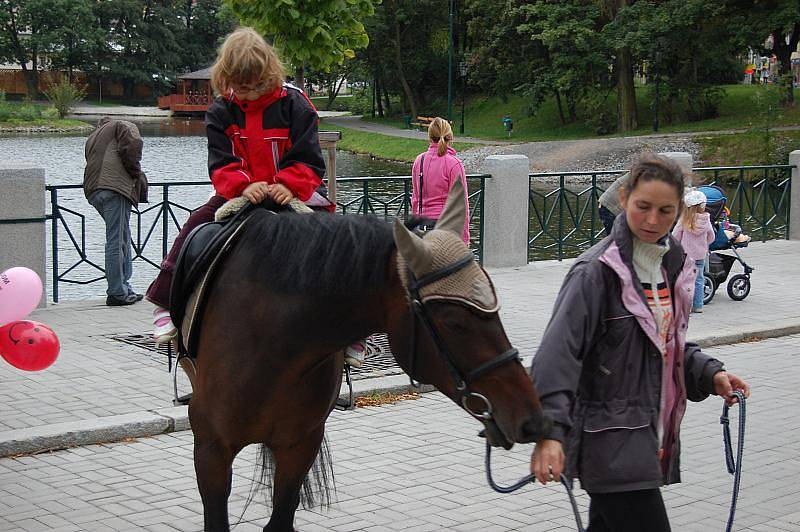 Prezentace zájmových kroužků DDM Příbram.