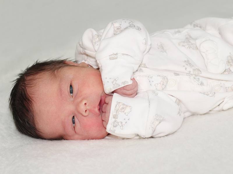 Aneta Pavlíčková se narodila 1. září 2020 v Příbrami. Vážila 3100 g a měřila 47 cm. Doma v Příbrami ji přivítali maminka Michaela, tatínek Tomáš a tříletý Tomáš.