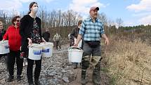 U mokřadu Jablonná. Návrat kuňky obecné do jejího přirozeného prostředí.