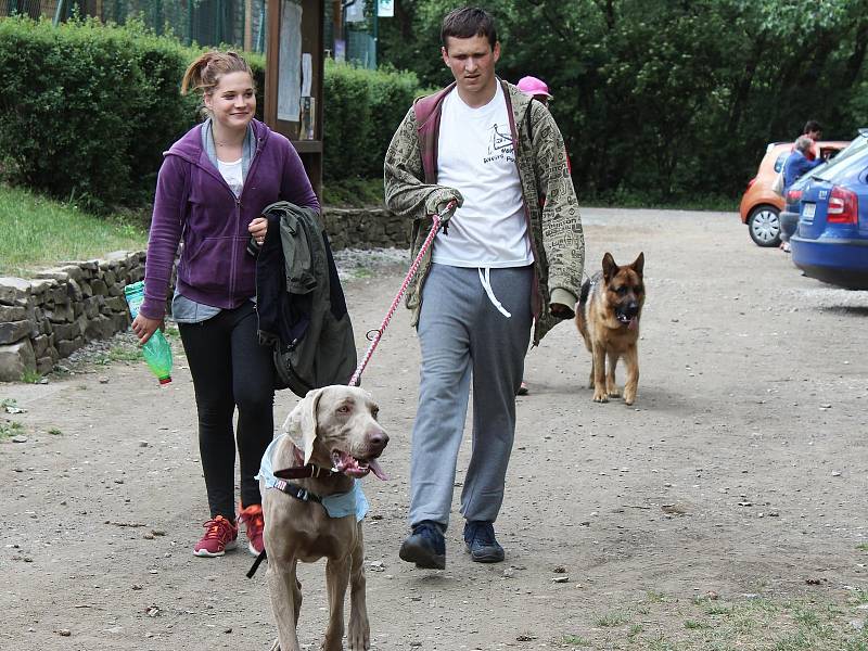 V sobotu se v Dobříši konal již třetí ročník Hafcupu. Pořádal ho dobříšský útulek a na jeho podporu také putoval výtěžek z akce. Účastnit se bylo možno se svým psem, nebo také s vypůjčeným z útulku. Celkem odstartovalo 20 jednotlivců a skupin.