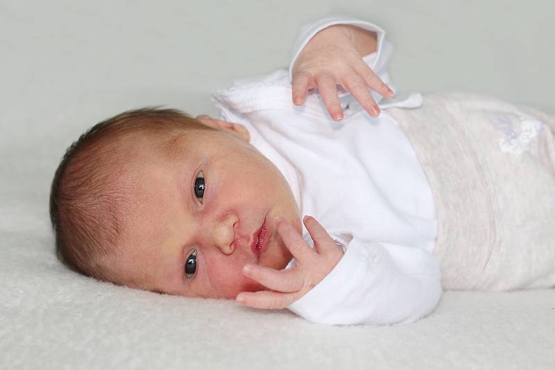 Adéla Honischová se narodila 11. července 2022 v Příbrami. Vážila 3320 g a měřila 49 cm. Doma v Raděticích ji přivítali maminka Jitka, tatínek Martin a tří a půl letá Magdalénka.