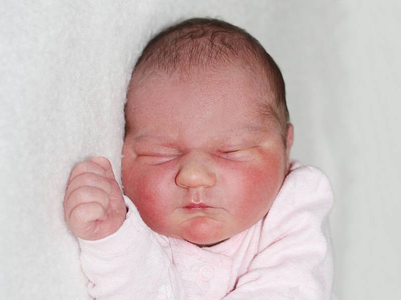 Amálie Vojířová se narodila 20. května 2020 v Příbrami. Vážila 3,95 kg. Doma v Dobříši ji přivítali maminka Tereza, tatínek Ondřej a sestra Adriana.