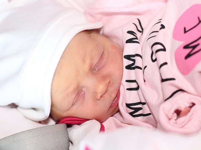 Malka Poláková z Plzně, narozená 17. června 2019, váha 2930 g, rodiče Katerini a Petr.
