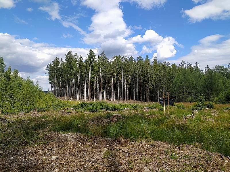 Vydejte se na výlet do Brd. Z Dolní Kvani, přes Beran, Jindřichovu skálu, okolo Valdeku, přes Valdecký rybník a Pískový vrch k Parmově nádržce, Houpák až na vrchol Jordánu.