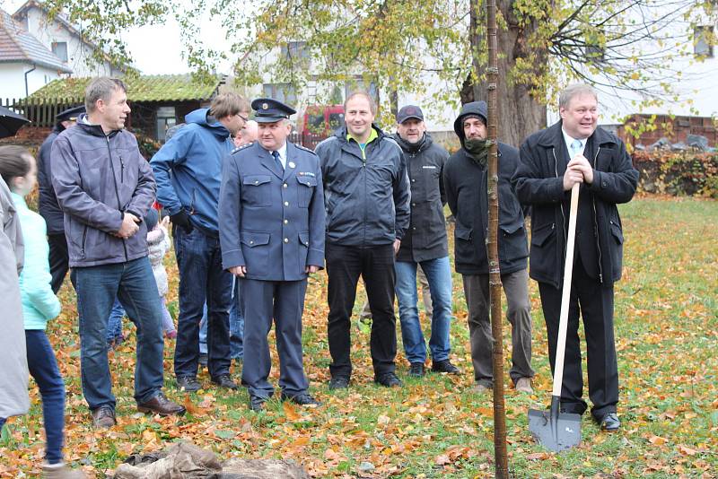 V Petrovicích v neděli 28. října zasadili lípu svobody.