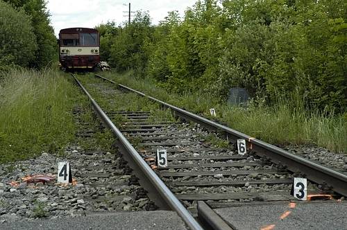 Při tragické nehodě u Tochovic zemřel jedenáctiletý chlapec i jeho o sedm let starší sestra.