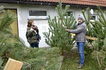 Vánoční stromky v Podlesí prodávali i minulý rok. 