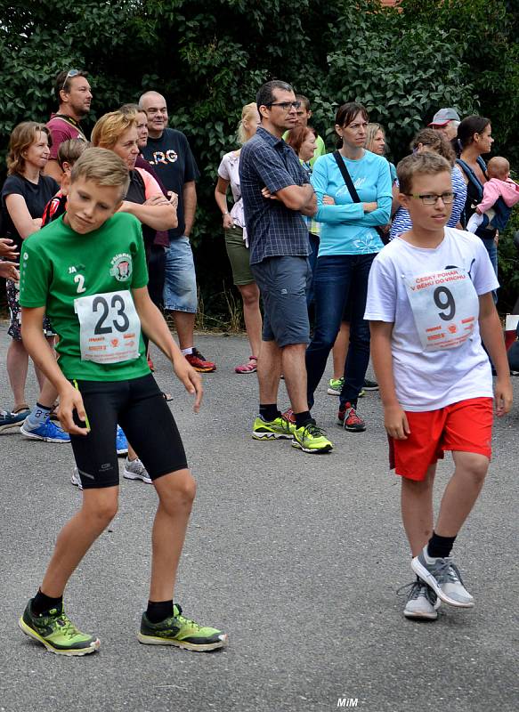 Již posedmnácté se konal v neděli 7. července běh do vrchu Lochovice - Plešivec.