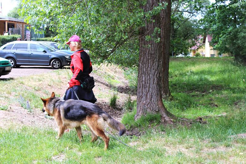 V sobotu se v Dobříši konal již třetí ročník Hafcupu. Pořádal ho dobříšský útulek a na jeho podporu také putoval výtěžek z akce. Účastnit se bylo možno se svým psem, nebo také s vypůjčeným z útulku. Celkem odstartovalo 20 jednotlivců a skupin.